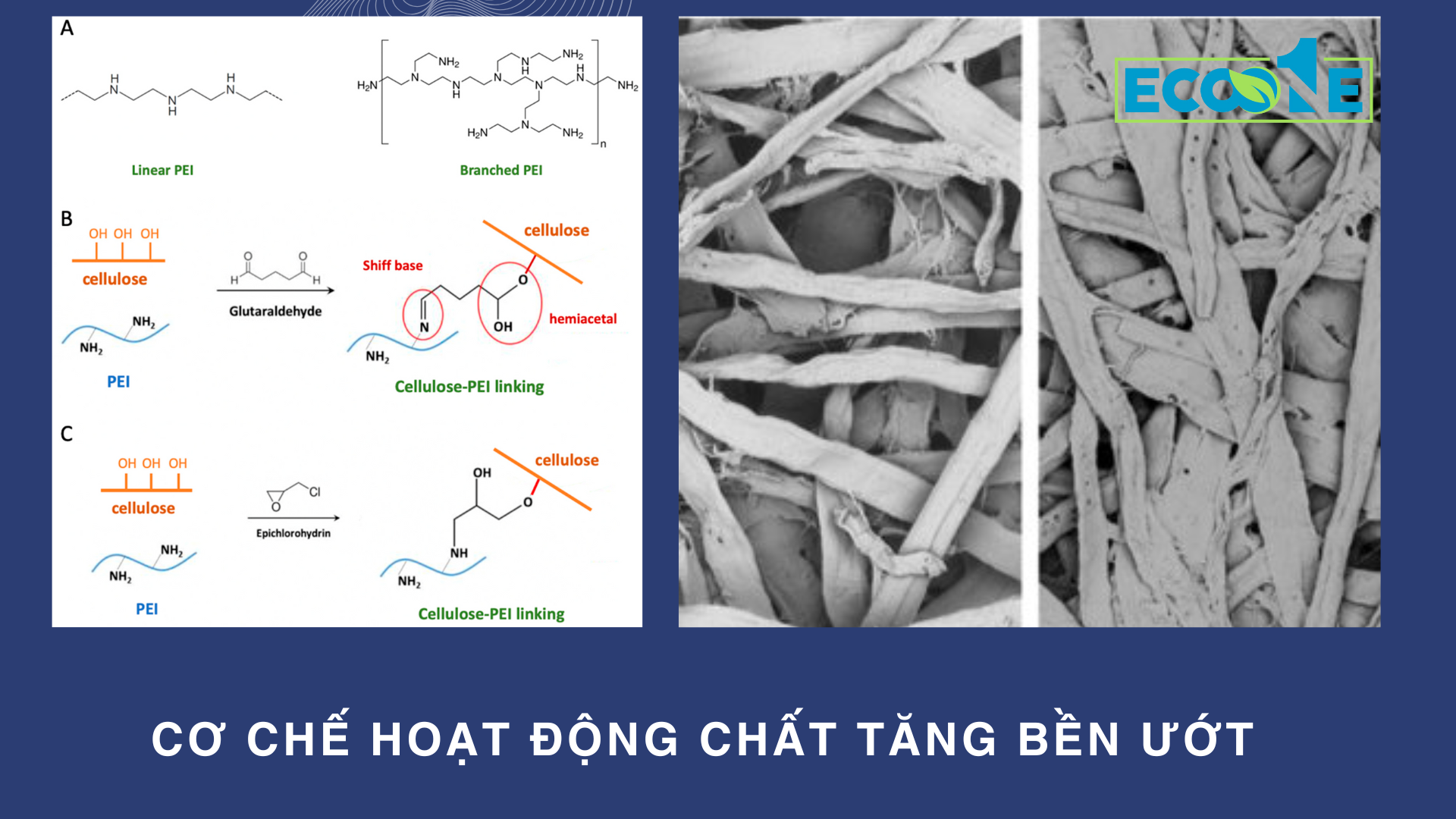 Cac-loai-tang-ben-uot-pho-bien-1